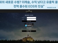 더캐슬 먹튀 사건 개요 이미지